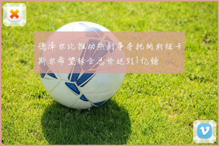 德泽尔比推动热刺争夺托纳利纽卡斯尔希望转会总价达到1亿镑