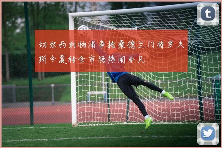 切尔西利物浦争抢桑德兰门将罗夫斯今夏转会市场热闹非凡